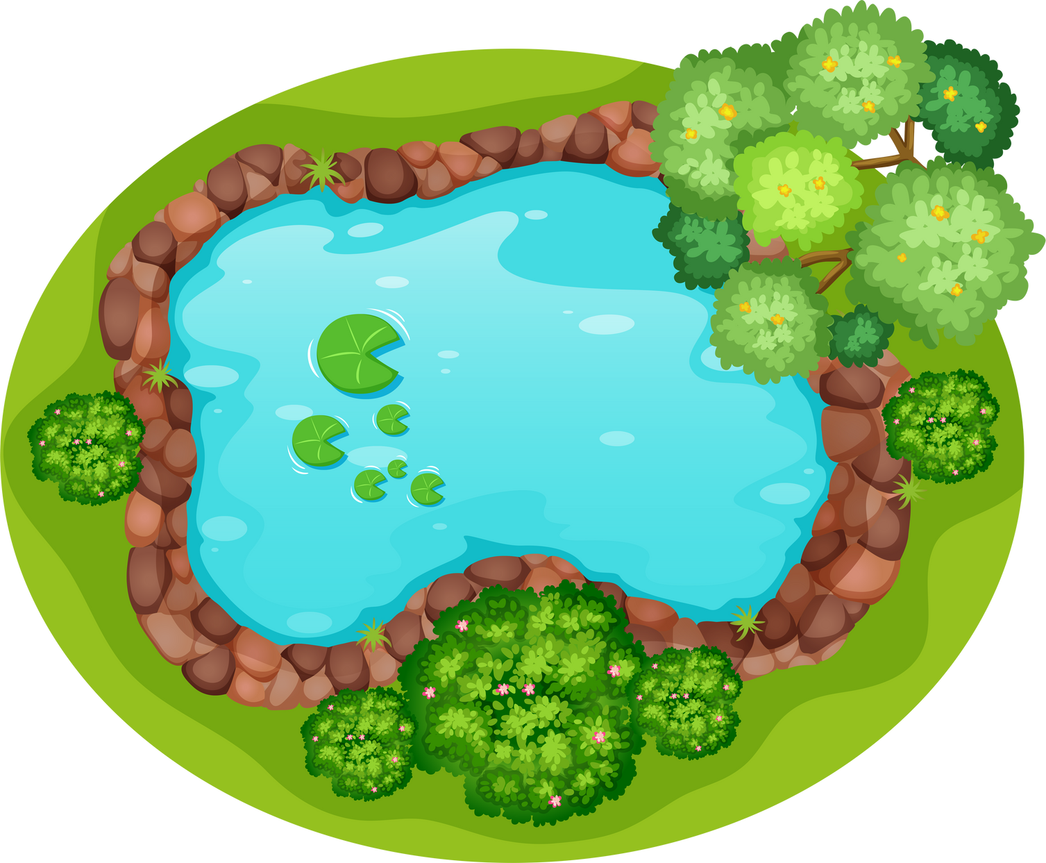 An aerial view of pond